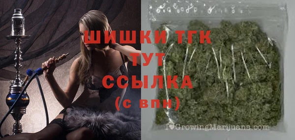 ПСИЛОЦИБИНОВЫЕ ГРИБЫ Гусев