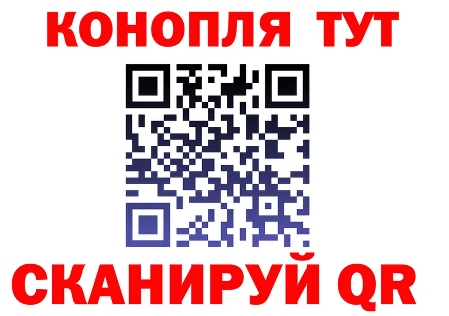 Alfa_PVP СК КРИС tor площадка МЕГА Плёс